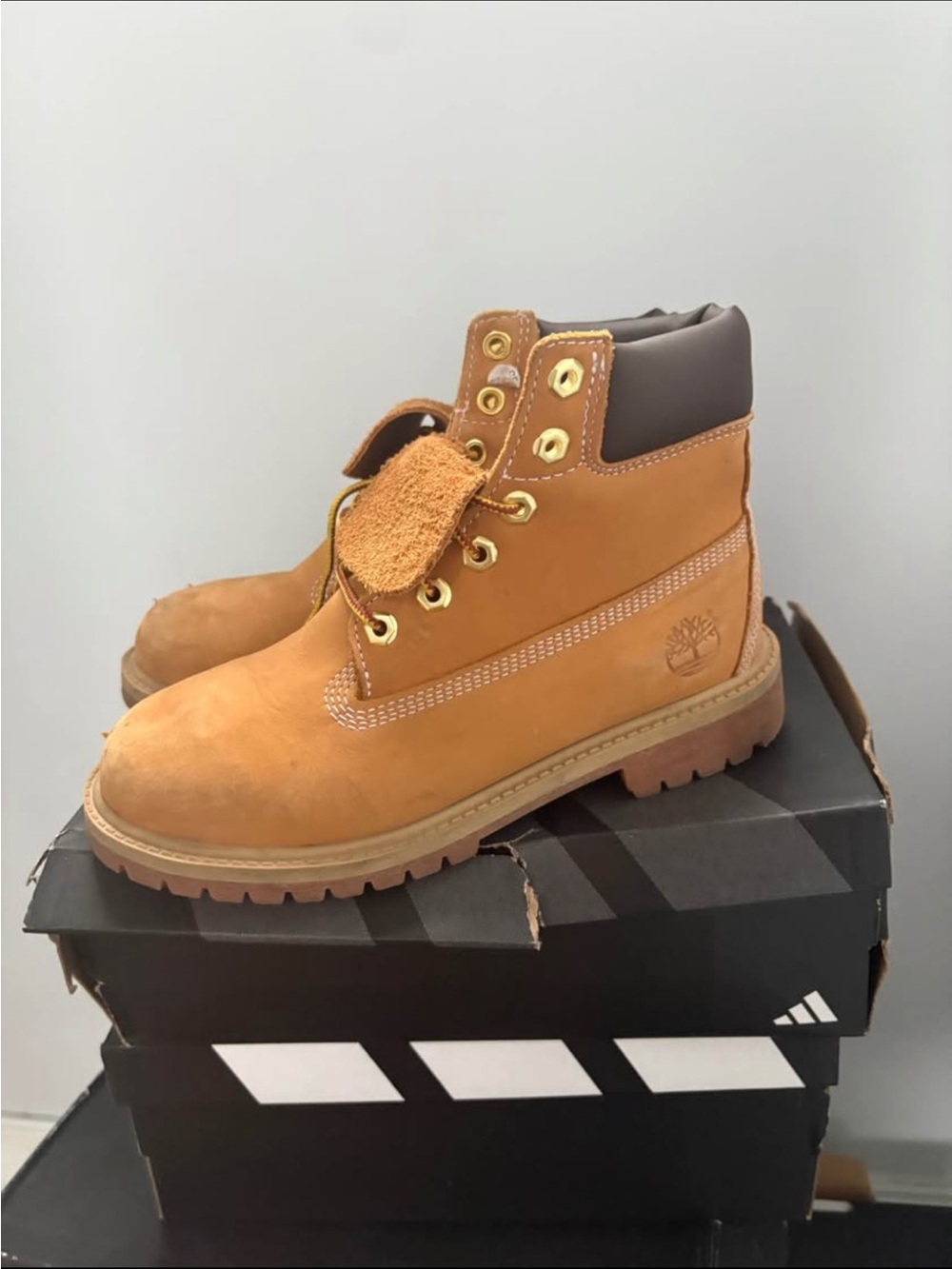 Timberland Pink Accent Nubuck Interior Label Shoe